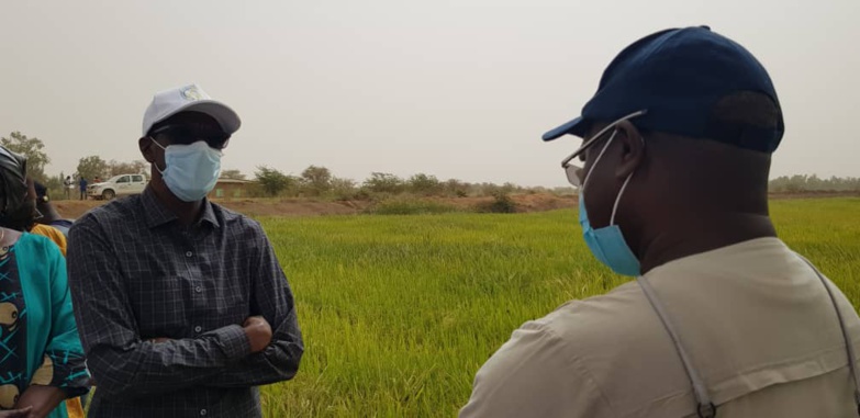 Aboubacry SOW exhorte les producteurs à emblaver plus en hivernage