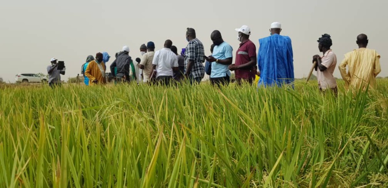 Aboubacry SOW exhorte les producteurs à emblaver plus en hivernage