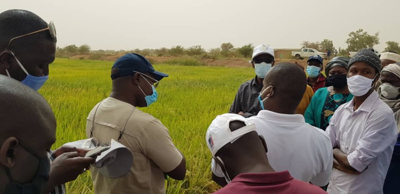 Aboubacry SOW exhorte les producteurs à emblaver plus en hivernage Aboubacry SOW exhorte les producteurs à emblaver plus en hivernage