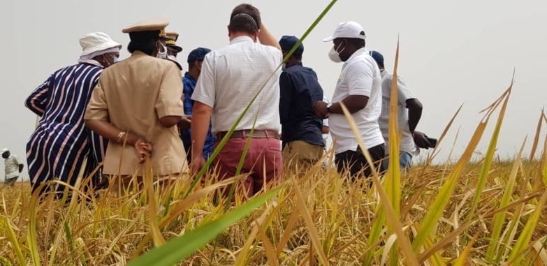 Moussa BALDÉ en visite dans la vallée : "Le Sénégal veut produire 80% de ses besoins alimentaires durant le prochain hivernage"