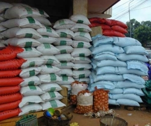 Riziculture et lutte contre la pauvreté: Africa Rice teste 300 variétés résistant au sel, à la chaleur et au froid Riziculture et lutte contre la pauvreté: Africa Rice teste 300 variétés résistant au sel, à la chaleur et au froid