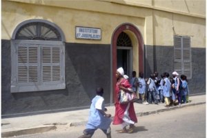 Saint-Louis : les conditions réunies pour un "démarrage acceptable" de l'année (IA)