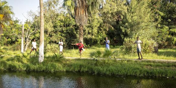 Environnement - Le Parc forestier urbain se tape 10 hectares Environnement - Le Parc forestier urbain se tape 10 hectares