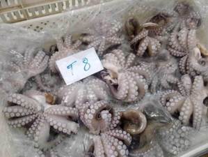 Pêche artisanale: L'Etat décrète un repos biologique pour le poulpe jusqu'en fin novembre Pêche artisanale: L'Etat décrète un repos biologique pour le poulpe jusqu'en fin novembre
