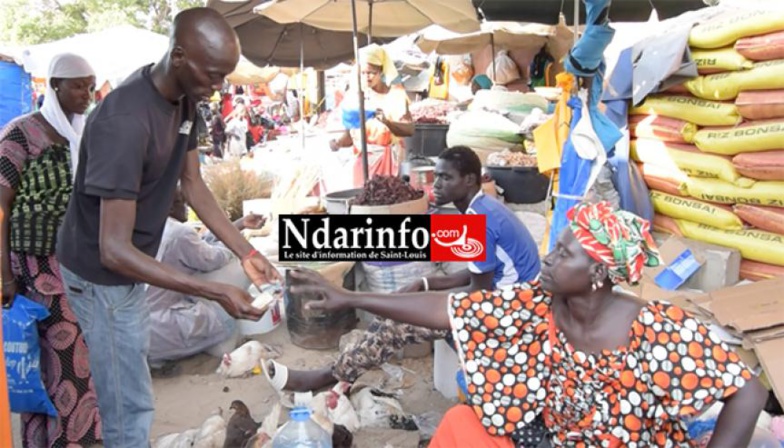 Tabaski : à Saint-Louis, les marchés affichent une affluence timide Tabaski : à Saint-Louis, les marchés affichent une affluence timide