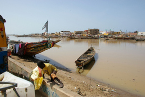 Muséum d'histoire naturelle de Toulouse: Une exposition met en parallèle le fleuve Sénégal et la Garonne. Muséum d'histoire naturelle de Toulouse: Une exposition met en parallèle le fleuve Sénégal et la Garonne.