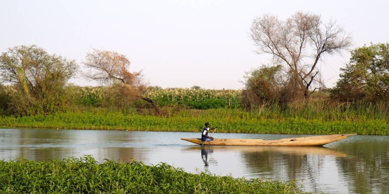 Covid-19 : la situation globale de la région de Saint-Louis Covid-19 : la situation globale de la région de Saint-Louis