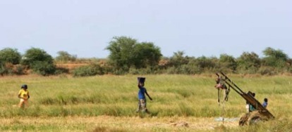 Un économiste remet en question un projet agroindustriel de la BM dans le Nord