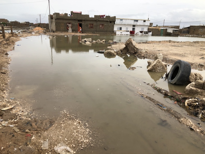 NDAR patauge (photos) NDAR patauge (photos)