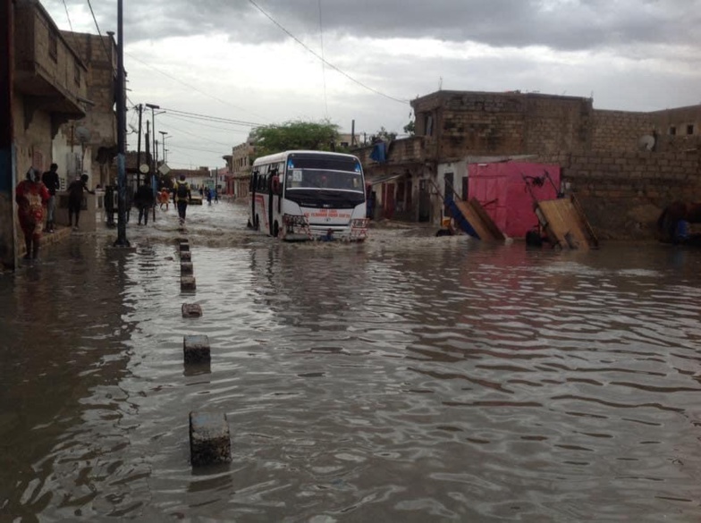 NDAR patauge (photos) NDAR patauge (photos)