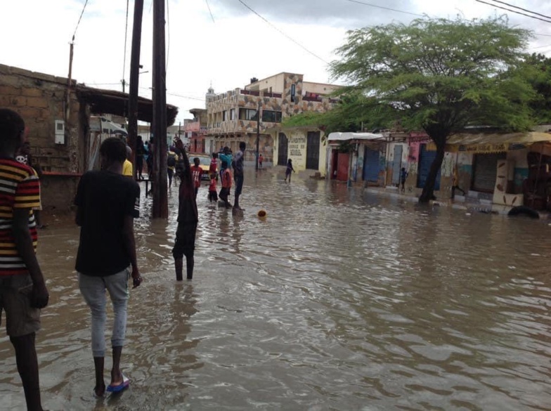 NDAR patauge (photos) NDAR patauge (photos)