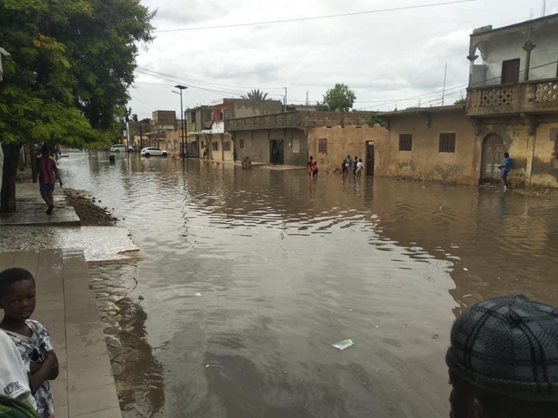 NDAR patauge (photos) NDAR patauge (photos)