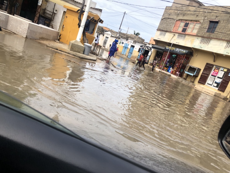 NDAR patauge (photos) NDAR patauge (photos)