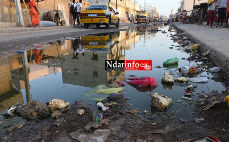 Point de Vue - Inondations à Saint-Louis : des responsabilités partagées ... Point de Vue - Inondations à Saint-Louis : des responsabilités partagées ...