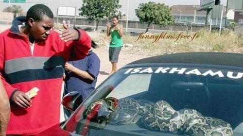 Archives internet Archives internet