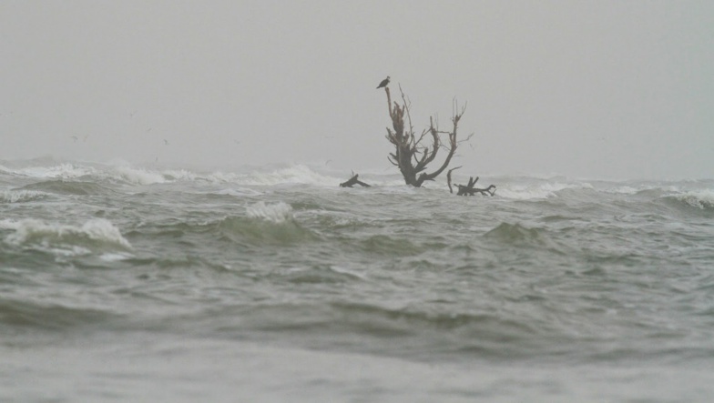 Démarrage ’’incessamment’’ des travaux de dragage et de balisage de la brèche (ministre) Démarrage ’’incessamment’’ des travaux de dragage et de balisage de la brèche (ministre)