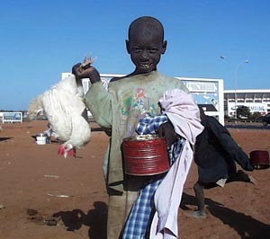 Cachez ces talibés que je ne saurais voir! Cachez ces talibés que je ne saurais voir!