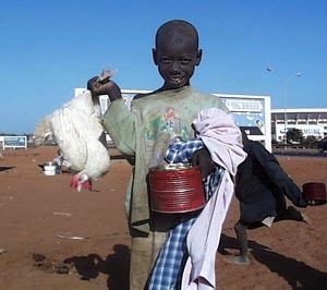 Cachez ces talibés que je ne saurais voir!