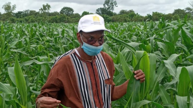 L’agriculture, ’’rempart contre les impacts négatifs du COVID-19’’ (ministre)