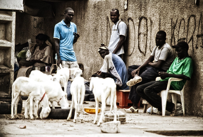 Record de chômeurs : Le Sénégal classé 3e pays dans le monde (Rapport OIT)