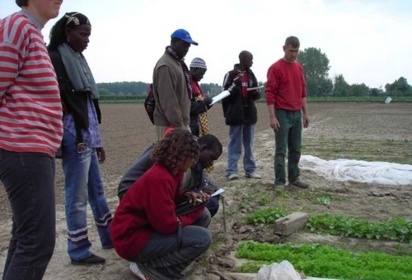 Coopération: 12 lycéens et apprentis lommois (Lille) vont visiter le centre d'initiative horticole de Saint-Louis.