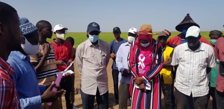 Aboubacry SOW invite les jeunes à s’orienter vers l’agriculture Aboubacry SOW invite les jeunes à s’orienter vers l’agriculture