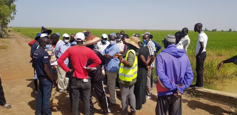 Aboubacry SOW invite les jeunes à s’orienter vers l’agriculture Aboubacry SOW invite les jeunes à s’orienter vers l’agriculture