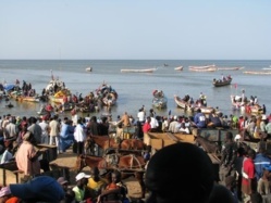 Licences de pêche Sénégal/Mauritanie : Dakar à l’écoute de Nouakchott.