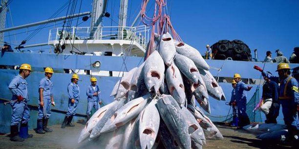 Accord de pêche : quand le Maroc, la Mauritanie et le Sénégal négocient séparément avec l’Europe des 27