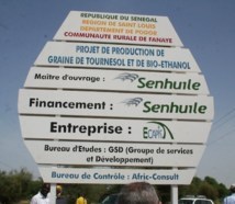 Le projet Sen huile/Sen éthanol divise les populations de Nguith.