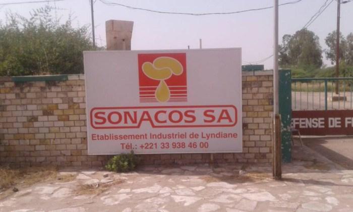 Aucune graine reçue à l'usine, les huiliers haussent le ton