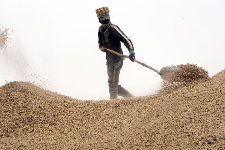 Sénégal : Grosses craintes au démarrage de la campagne arachidière