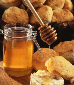 Les propriétés médicinales du miel