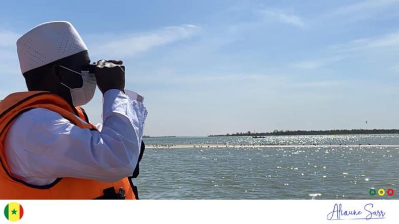 Alioune SARR au Parc National de la Langue de Barbarie Alioune SARR au Parc National de la Langue de Barbarie
