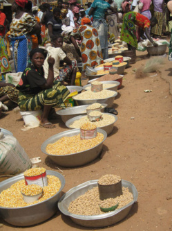 Sécurité alimentaire: Green Sénégal injecte près de 100 millions à Fass et à Gandon.