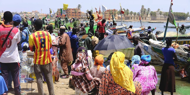 Pétition contre le projet de débaptisation des rues : Près de 300 signatures recueillies en une semaine Pétition contre le projet de débaptisation des rues : Près de 300 signatures recueillies en une semaine
