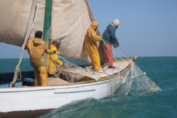 Exclusif: La Mauritanie accorde 40.000 tonnes par an et autorise 300 embarcations sénégalaises.