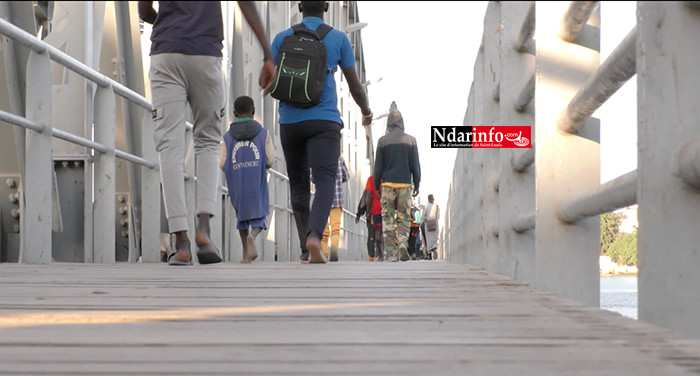 Covid-19: 295 nouveaux tests positifs et 14 nouveaux cas à Saint-Louis Covid-19: 295 nouveaux tests positifs et 14 nouveaux cas à Saint-Louis