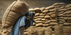 Consommation de blé au Sénégal: Une enveloppe de 45 milliards par an pour l'importation.