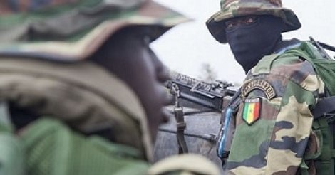 Casamance : Des opérations en cours pour ’’neutraliser’’ des bandes armées (DIRPA)