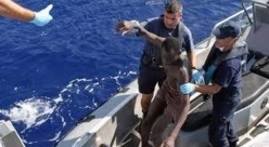 Naufrage à St-Louis: L’armée sénégalaise et la marine espagnole patrouillent en mer.