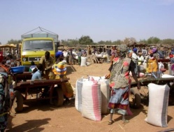 Sécurité alimentaire en Afrique: 60 millions de tonnes de riz pour nourrir ce continent en 2035.