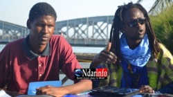 Locales 2014 : Le Mouvement du 28 décembre dans la danse. Locales 2014 : Le Mouvement du 28 décembre dans la danse.