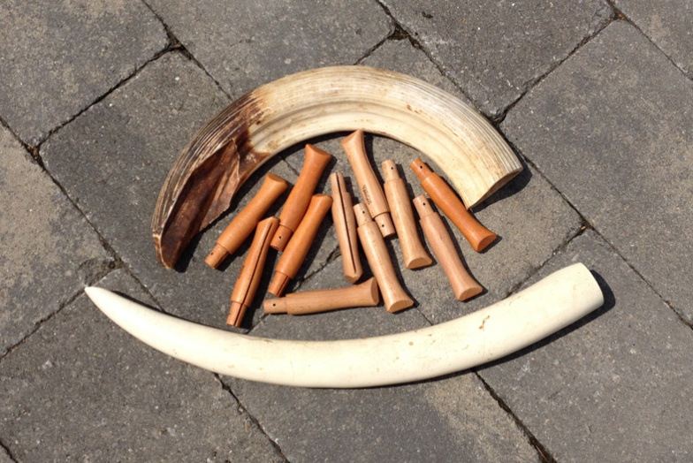 Criminalité faunique à Kédougou : Six mois de prison ferme pour les deux trafiquants de faune Criminalité faunique à Kédougou : Six mois de prison ferme pour les deux trafiquants de faune