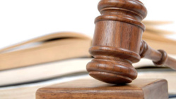 Le mot "race" bientôt supprimé de la législation française? Le mot "race" bientôt supprimé de la législation française?