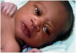 Horreur au Nigeria: la police découvre une "usine à bébés" Horreur au Nigeria: la police découvre une "usine à bébés"