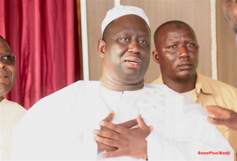 Aliou Sall : « Lors des manifs, aucun d’entre eux n’a osé sortir de son trou »