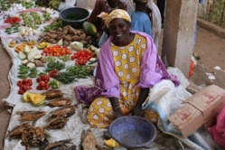 Saint-Louis : plaidoyer pour des rencontres régulières de la commission régionale de la consommation Saint-Louis : plaidoyer pour des rencontres régulières de la commission régionale de la consommation