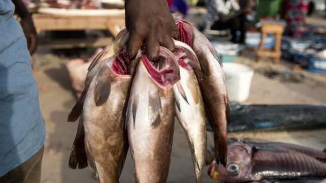 Ramadan : quand le poisson se fait rare et cher