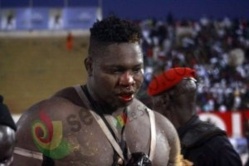 Tapha Tine après sa défaite : «Balla Gaye 2 était par moments invisible» Tapha Tine après sa défaite : «Balla Gaye 2 était par moments invisible»